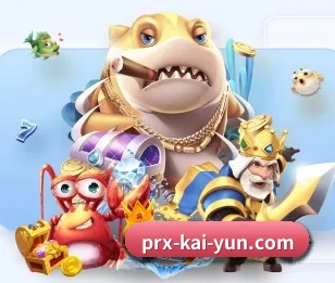 开云体育的故事(kaiyun)